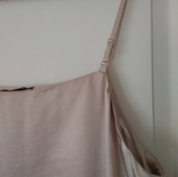 #27 RW&CO. Champagne Satin Tank ~ Size L - Picture 10 of 12